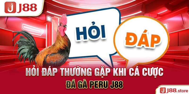 Hỏi đáp thường gặp khi cá cược đá gà Peru J88