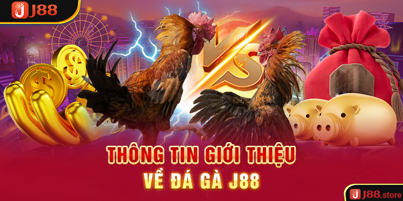 Thông tin giới thiệu về đá gà J88